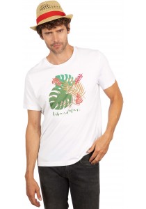 Chapeau de paille style Panama